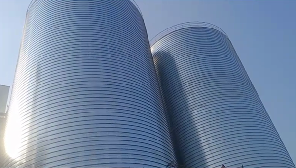 珠晖2座混凝土高架卷板仓